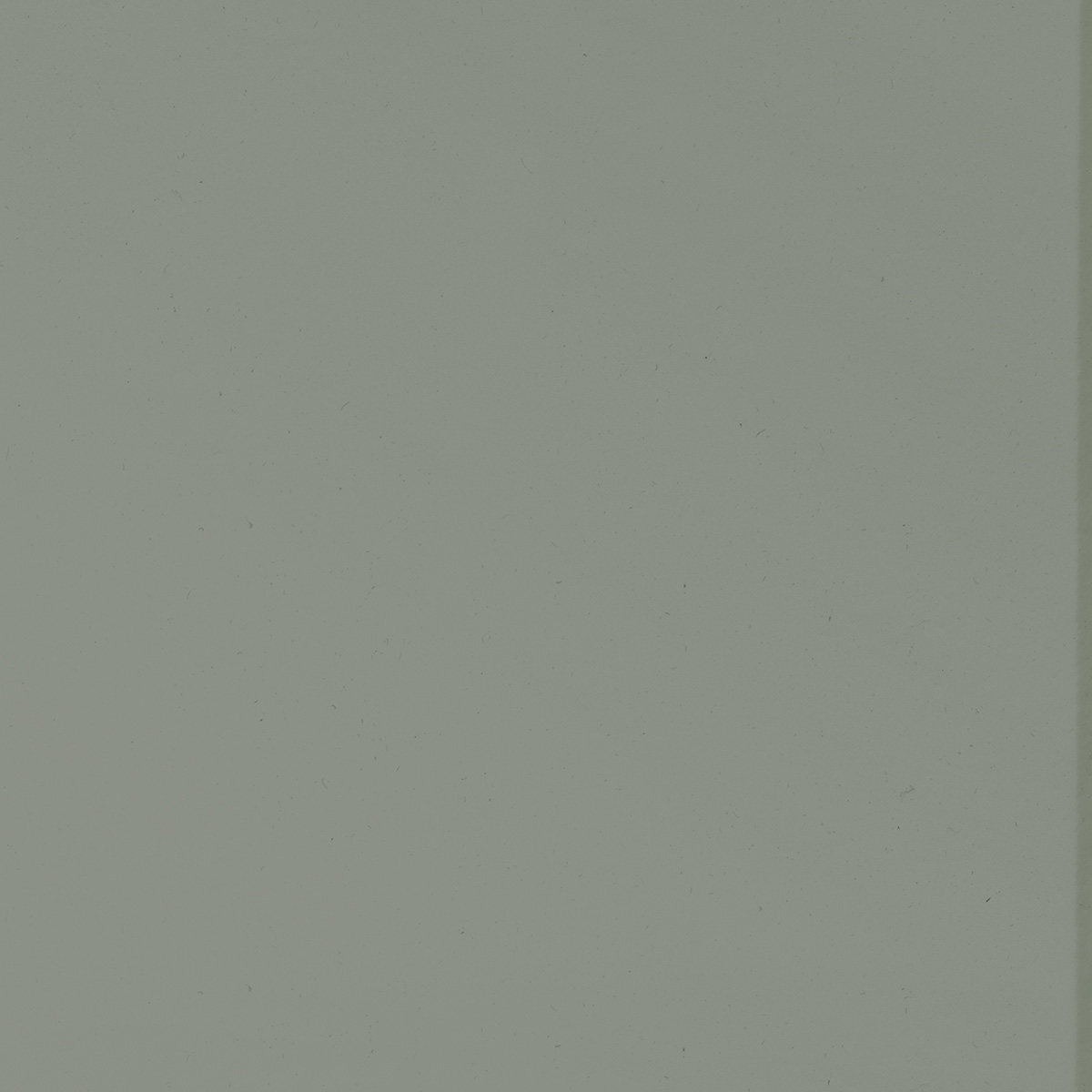 Swatch of Bonsai
