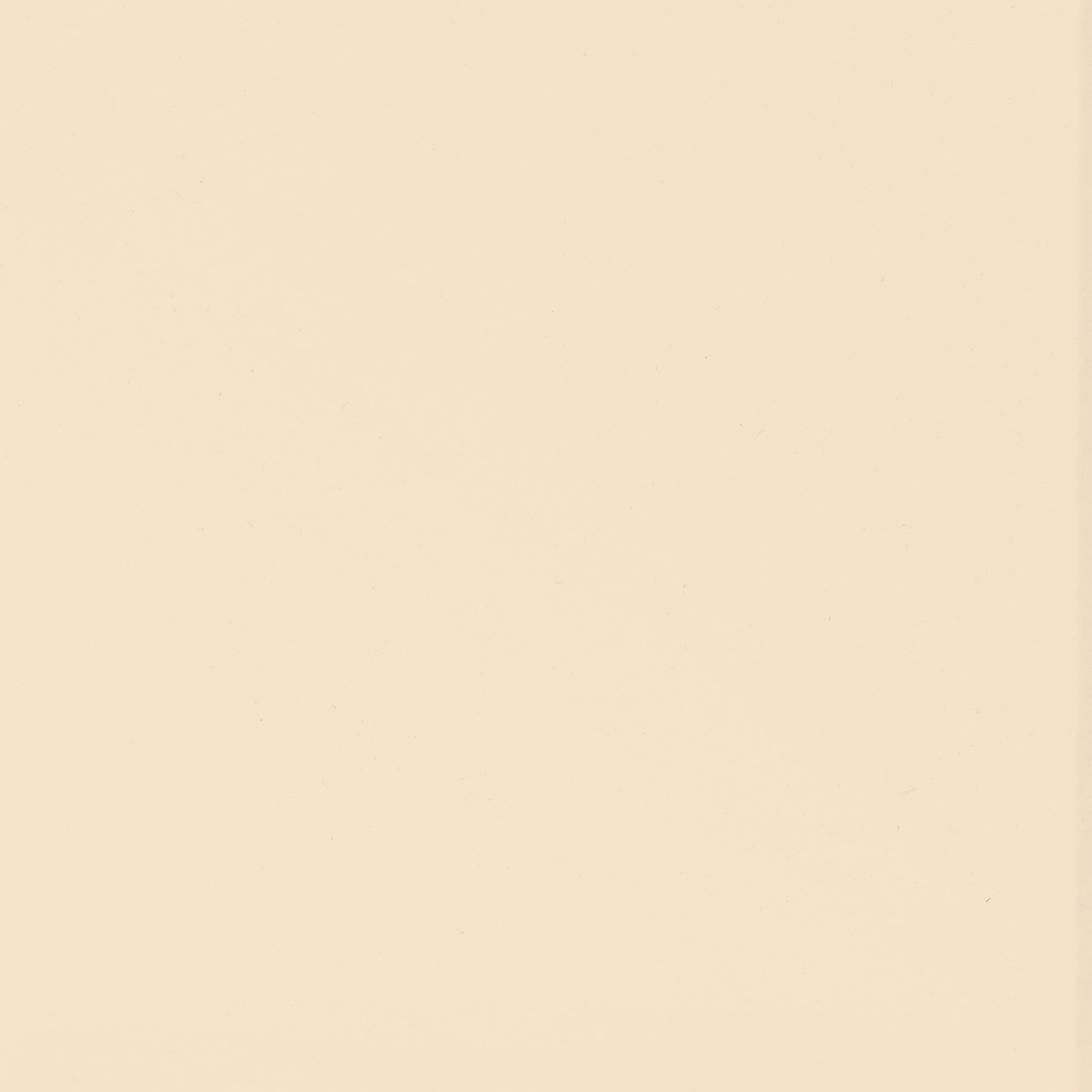 Swatch of Canvas
