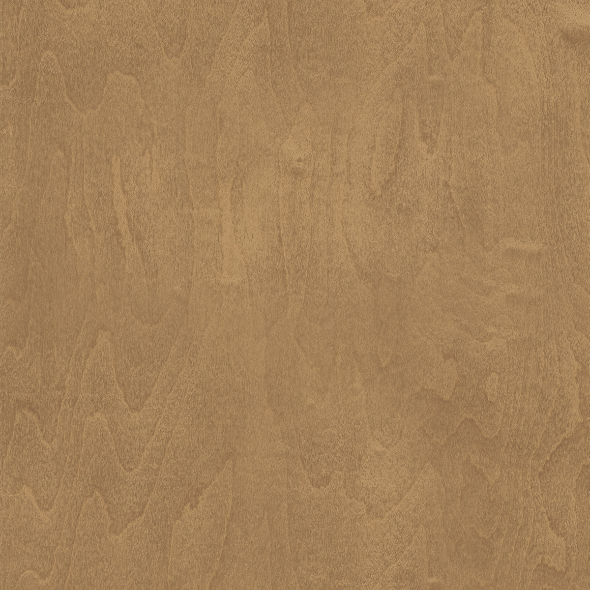 Swatch of Barley