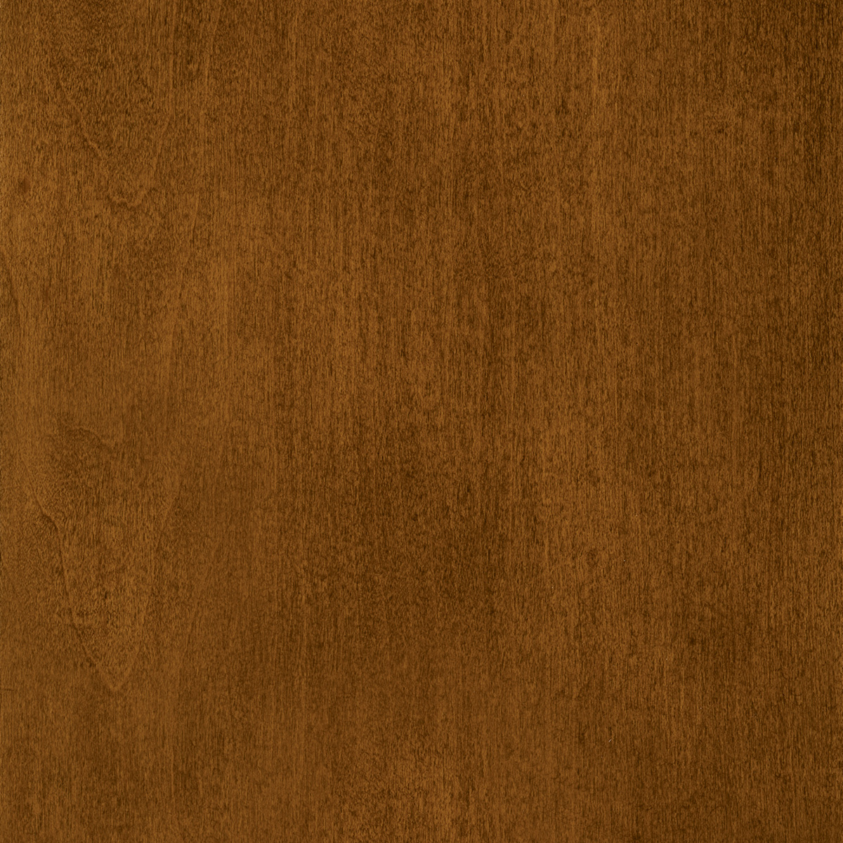 Swatch of Cognac