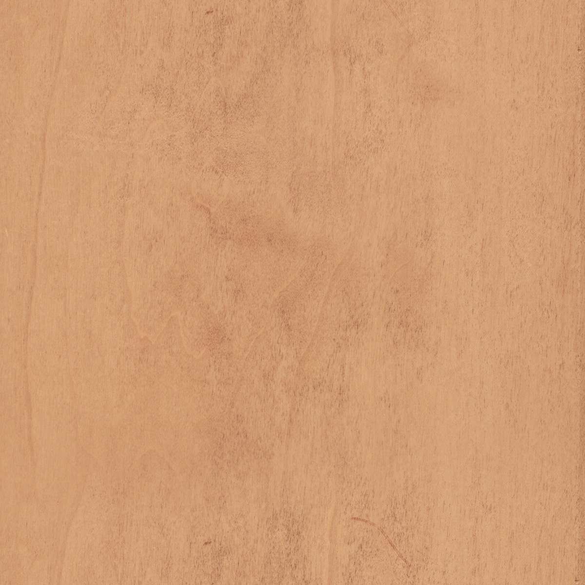 Swatch of Honey Spice