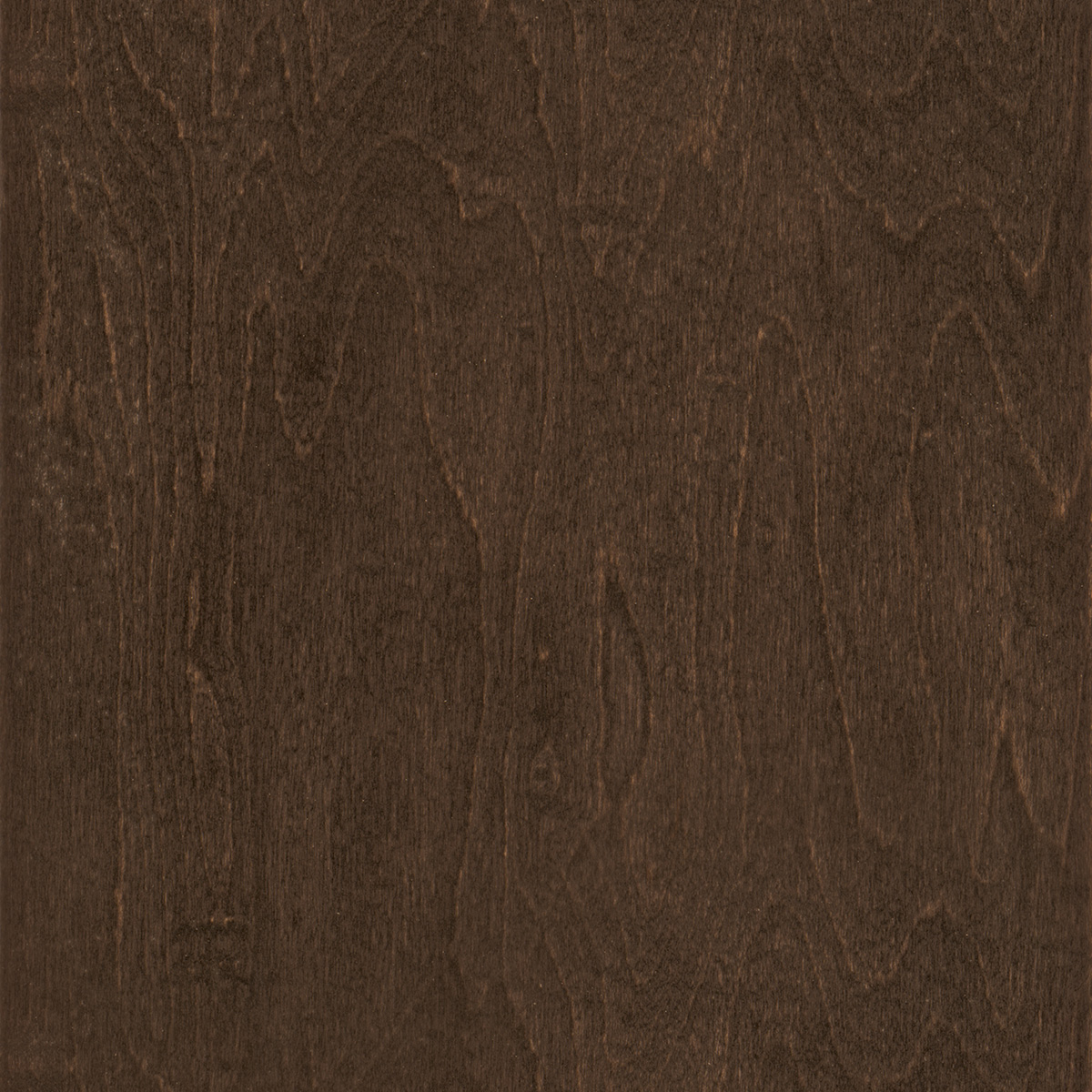 Swatch of Molasses