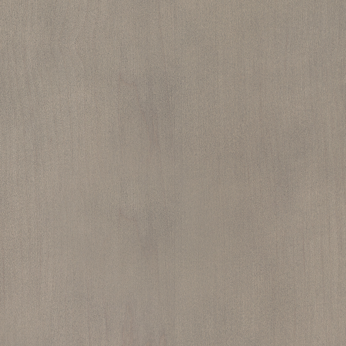 Swatch of Translucent Monument Grey