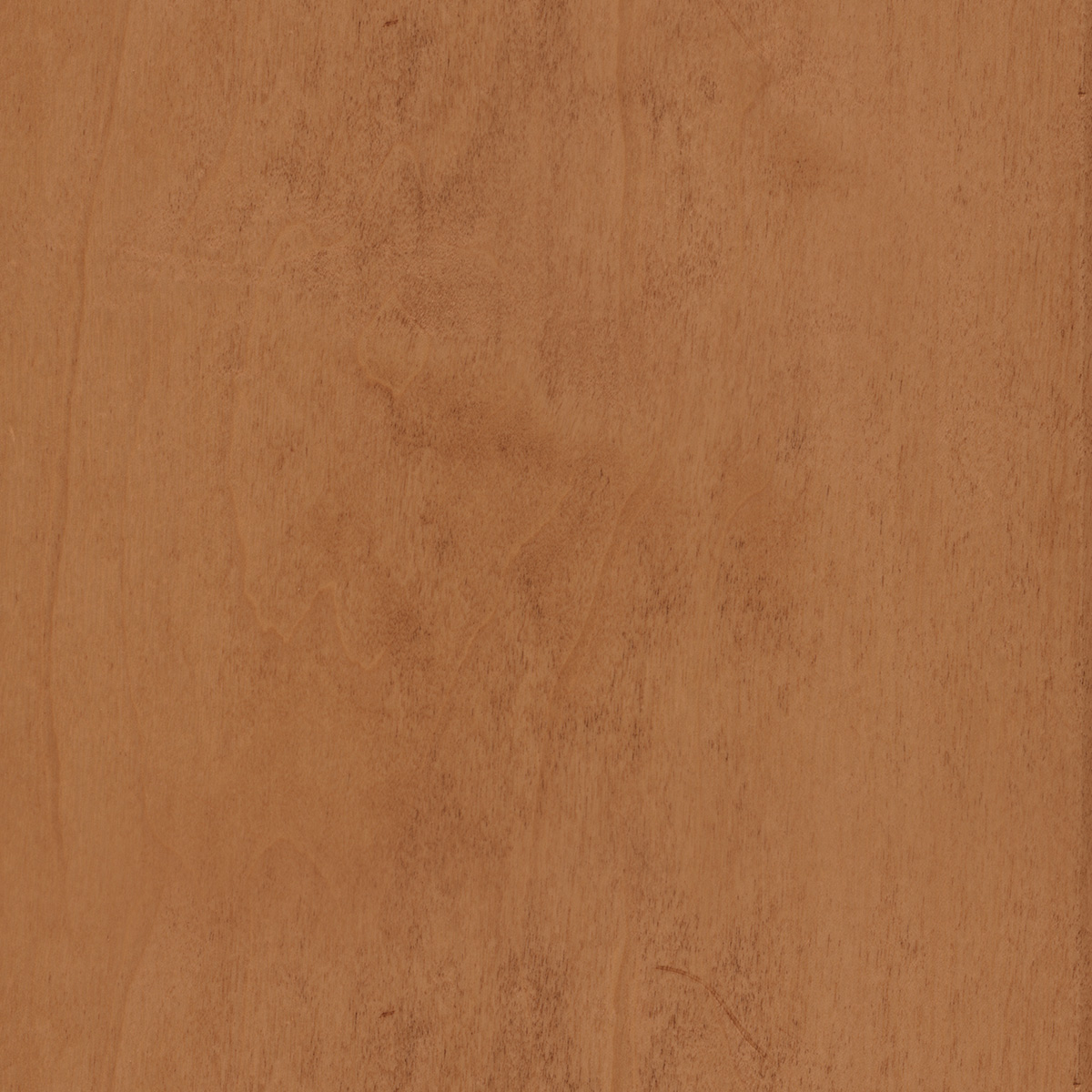 Swatch of Praline