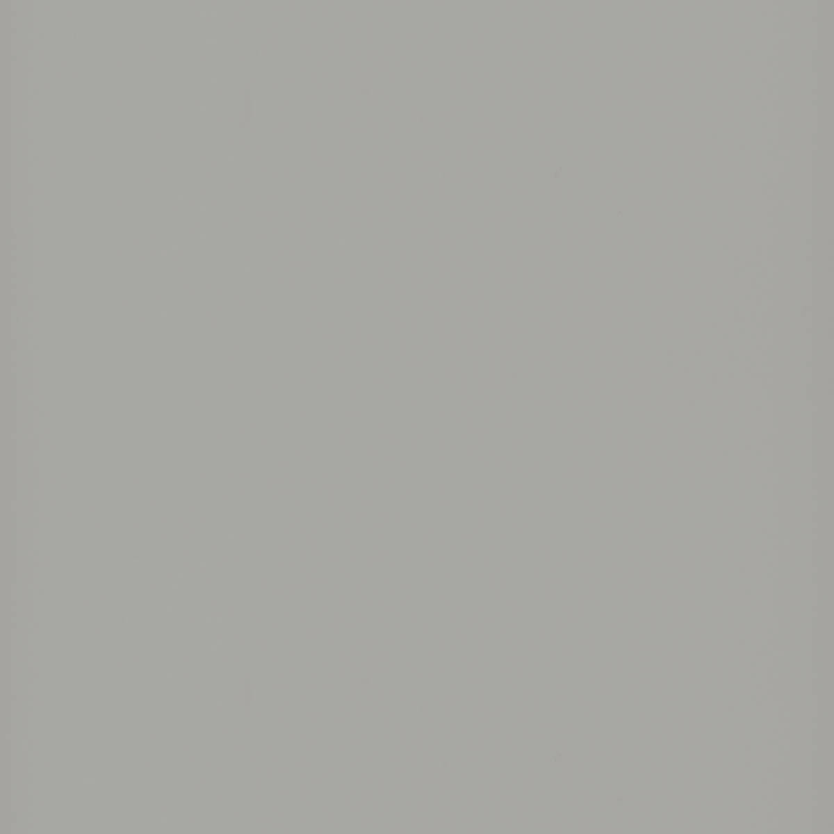 Swatch of Grey