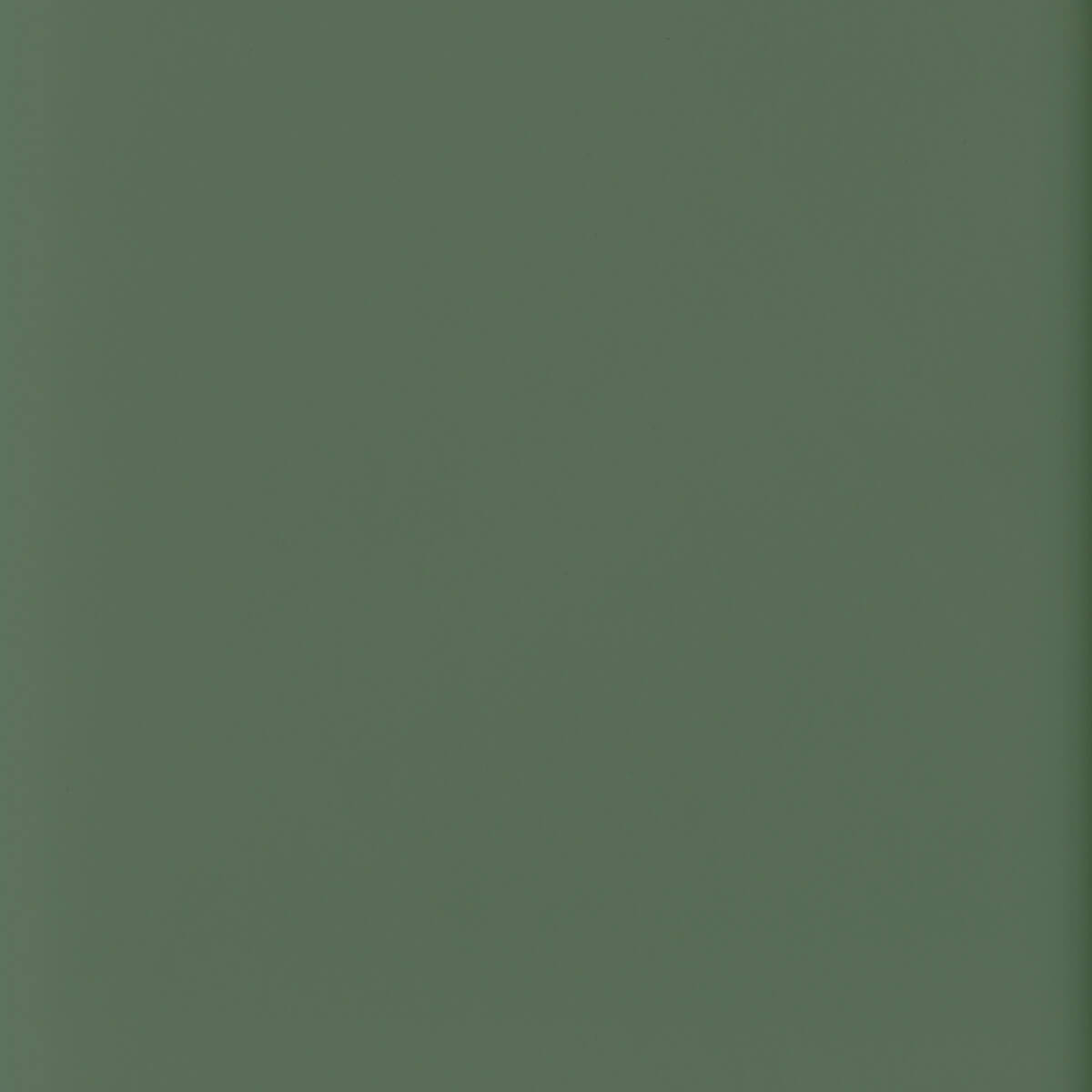 Swatch of Olive