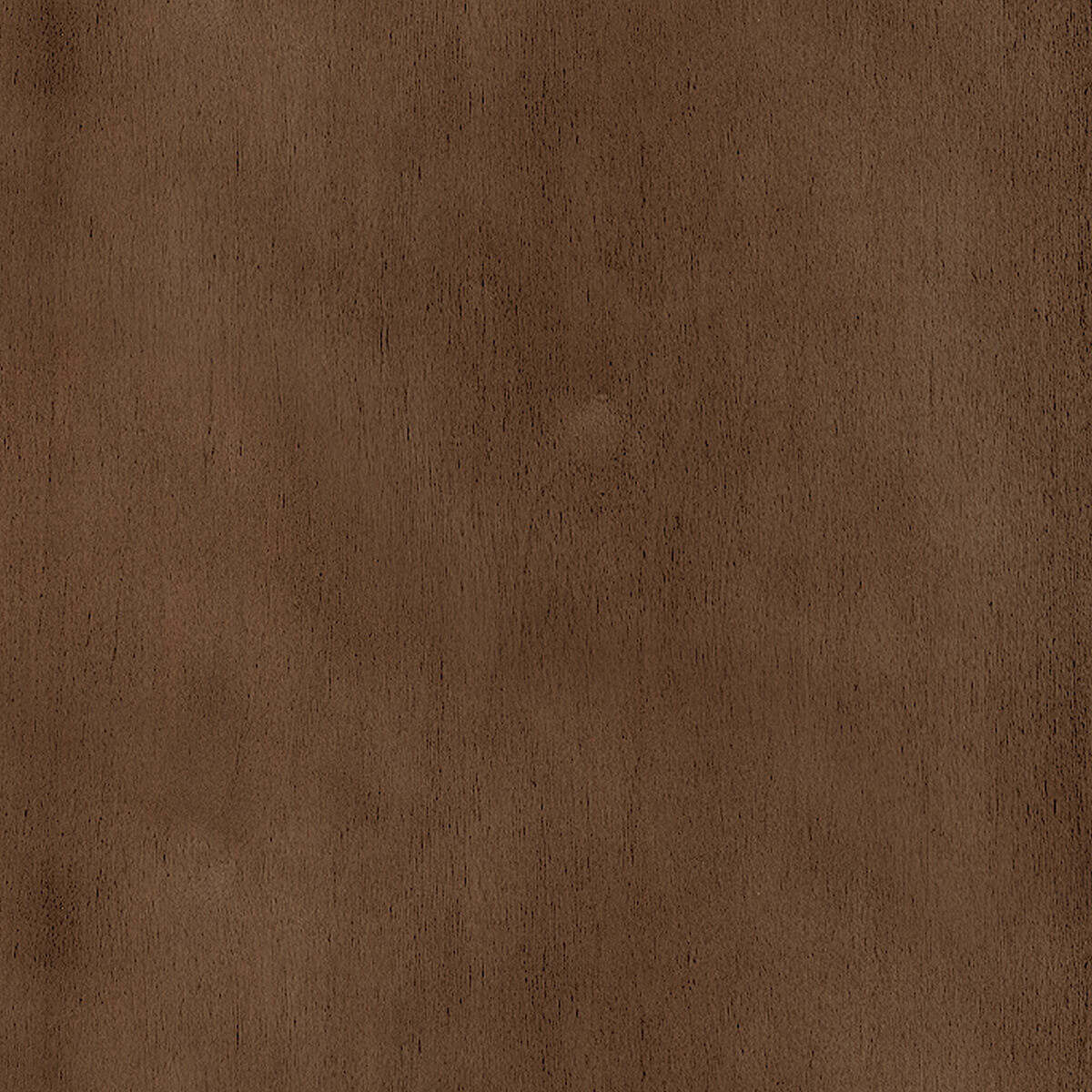Swatch of Kodiak