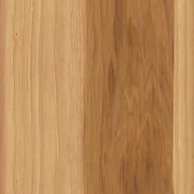 Swatch of Hickory