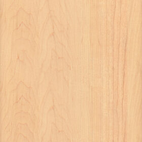 Swatch of Maple